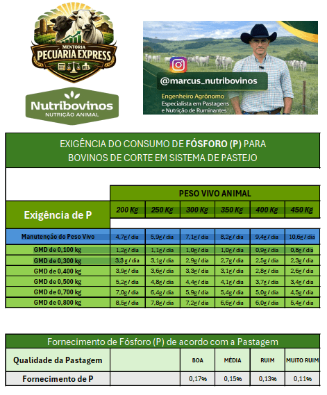 Guia de Escore de Condição Corporal
